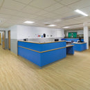 Polyflor Polysafe Wood fx Acoustix PUR – American Oak