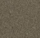 Forbo Tessera Create Space 1 Tawny Tufted Low Level Loop Pile Carpet Tile