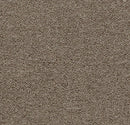Forbo Tessera Layout & Outline Brulee Tufted Low Loop Pile Carpet Plank