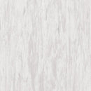 Tarkett Standard Plus Light Grey Homogeneous Vinyl Floor Covering Roll