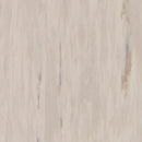 Tarkett Standard Plus Light Warm Grey Homogeneous Vinyl Floor Covering Roll