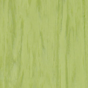 Tarkett Standard Plus Lime Homogeneous Vinyl Floor Covering Roll