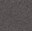Forbo Tessera Chroma Quinoa Textured Loop Polyamide Pile Carpet Tile