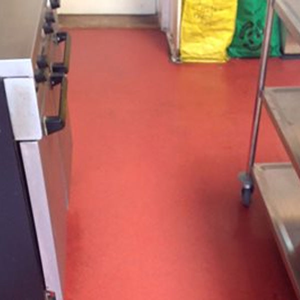 Altro Classic Mushroom R11 Slip & Abrasion Resistant Vinyl Safety Flooring Roll