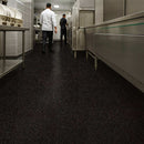 Vinyl Safety Flooring – Slip Resistant, PUR Finish, Biotite