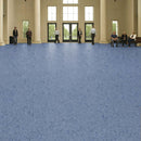 FloresistPro Vinyl Flooring Roll - Lavender Grey, 2mm, Eco-Friendly
