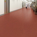 Slip-Resistant Vinyl Safety Flooring with PUR Finish – Red Ochre