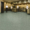 Slip-Resistant Vinyl Flooring with PUR Finish – Green Quartz