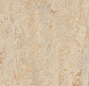 Marmoleum Ohmex Caribbean Electrical Conductive Linoleum Safety Flooring Roll