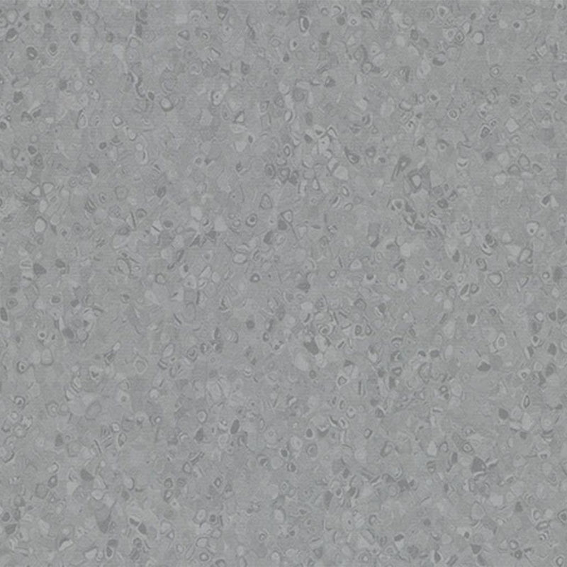FloresistPro Vinyl Flooring Roll – Lead, 2mm, Eco-Friendly