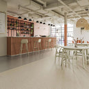 Polysafe Vinyl Sheet Flooring – Autumn Beige, Slip Resistant