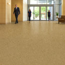 FloresistPro Vinyl Flooring – Flax, 2mm thick, Homogeneous Safety