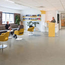 Safety Flooring Roll – Slip Resistant PUR Finish, Andesite