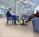 Forbo Modulup Compact Sand Zebrano Loose Lay Floor Covering Roll