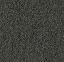 Forbo Tessera Create Space 1 Agate Tufted Low Level Loop Pile Carpet Tile