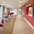 Polysafe Stone FX Safety Flooring, Non-Slip, Flagstone Grey