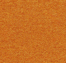 Forbo Tessera Layout & Outline Mango Tufted Low Loop Pile Carpet Plank