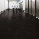 Vinyl Safety Flooring – Slip Resistant, PUR Finish, Biotite