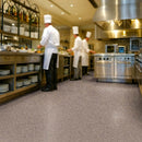 Vinyl Safety Flooring – Slip Resistant, PUR Finish, Siltstone
