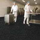 Forbo Safestep R12 Charcoal High Slip Resistant Safety Floor Covering Roll