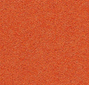 Forbo Tessera Chroma Calypso Textured Loop Polyamide Pile Carpet Tile