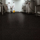 Vinyl Safety Flooring – Slip Resistant, PUR Finish, Biotite