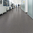 Commercial Vinyl Safety Flooring – Durable Slip-Resistant Finish, Chromite