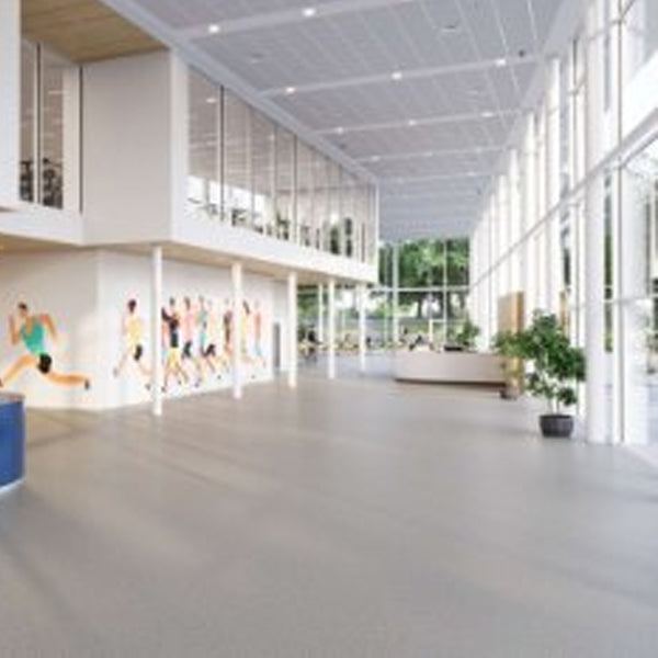 Altro Suprema Kolibri Scratch Resistance Low-gloss Safety Flooring Roll