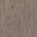 Tarkett Standard Plus Dark Beige Homogeneous Vinyl Floor Covering Roll