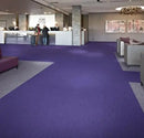 Forbo Flotex Colour Penang Purple Anti-allergic Flocked Carpet Flooring Tile