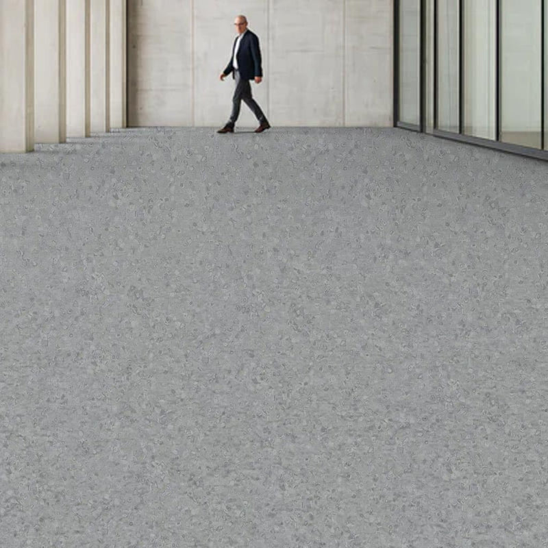 FloresistPro Vinyl Flooring Roll – Lead, 2mm, Eco-Friendly