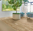 Forbo Modulup Compact Pure Chill Oak Loose Lay Floor Covering Roll