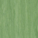 Tarkett Standard Plus Dark Green Homogeneous Vinyl Floor Covering Roll