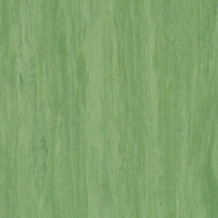 Tarkett Standard Plus Dark Green Homogeneous Vinyl Floor Covering Roll