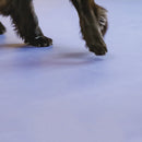 Gerflor Tarasafe Standard Savana Slip Resistant Vinyl Sheet Safety Flooring