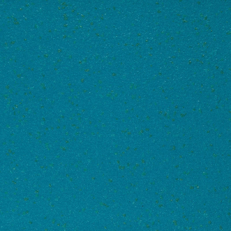 Aquatraxen Safety Vinyl Flooring – Slip-Resistant, Wet & Dry Use