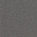 Altro Pisces Anchor Class B Slip Resistant Safety Flooring Roll