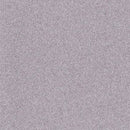 Altro Pisces Beach Hut Class B Slip Resistant Safety Flooring Roll