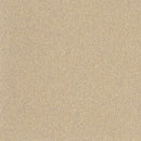 Altro Pisces Breakwater Class B Slip Resistant Safety Flooring Roll