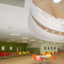 Forest Fx PUR Classic Oak 19dB Sound Reduction Safety Flooring Roll