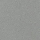 Altro Suprema Cicely Scratch Resistance Low-gloss Safety Flooring Roll