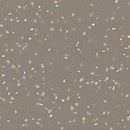 Altro Suprema Coleus Scratch Resistance Low-gloss Safety Flooring Roll