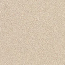 Altro Pisces Cuttlefish Class B Slip Resistant Safety Flooring Roll