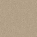 Eclipse Premium DK Warm Beige Antistatic Homogeneous Poly(Vinyl Chloride) Floor Covering
