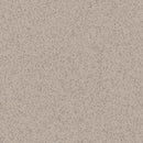 Altro Suprema Diantha Scratch Resistance Low-gloss Safety Flooring Roll