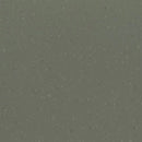 Palettone PUR Dried Tarragon Heavy-duty Homogeneous Vinyl Flooring With Tonal Chip Decoration Roll