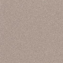 Altro Pisces Driftwood Class B Slip Resistant Safety Flooring Roll
