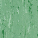 Duraflorix Safety Vinyl Flooring Roll – Medium Green, Stain-Resistant