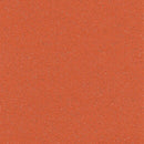 Duraflorix Safety Vinyl Sheet Flooring – Flame, Slip-Resistant