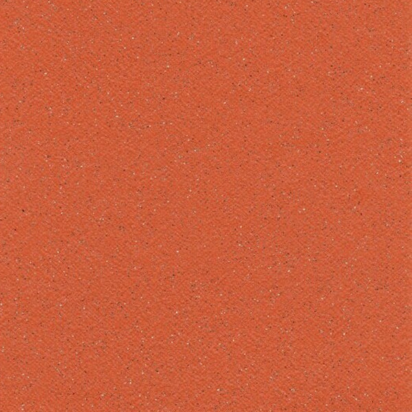 Duraflorix Safety Vinyl Sheet Flooring – Flame, Slip-Resistant